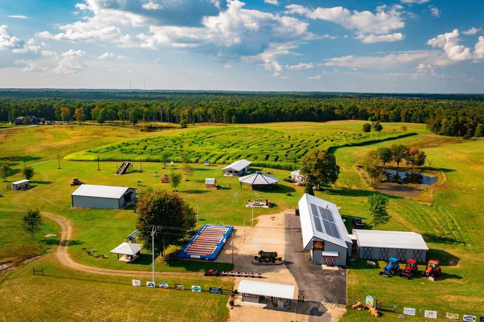 Autumn Daze Corn Maze