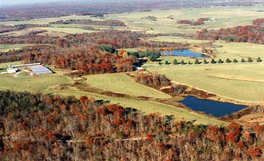 Cumberland Mountain Farm & Lodge