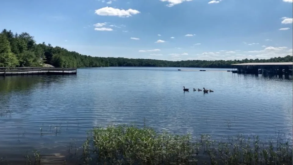 Meadow Park Lake Disc Golf Course — photo 2