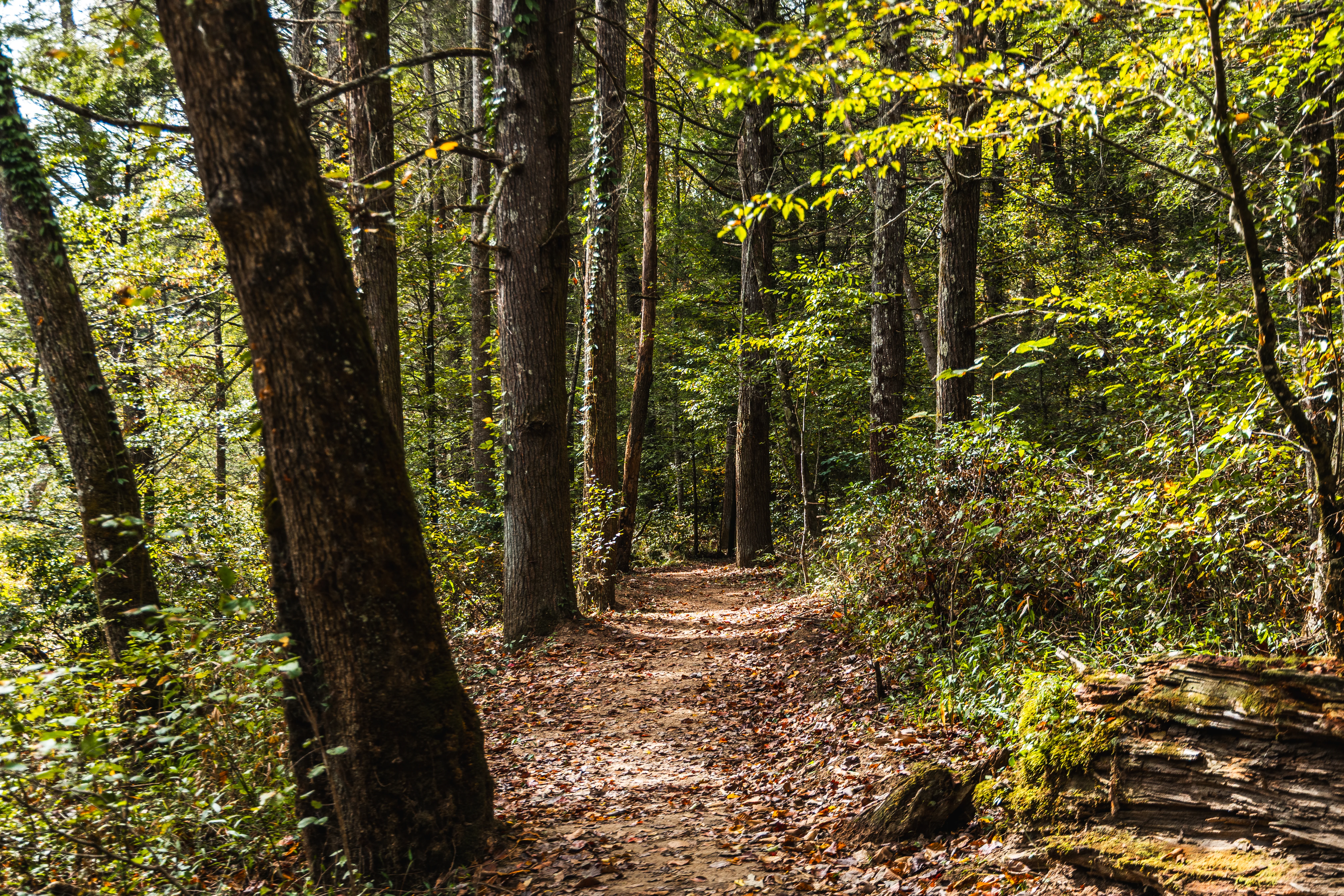 Fairfield Glade Hiking Trails