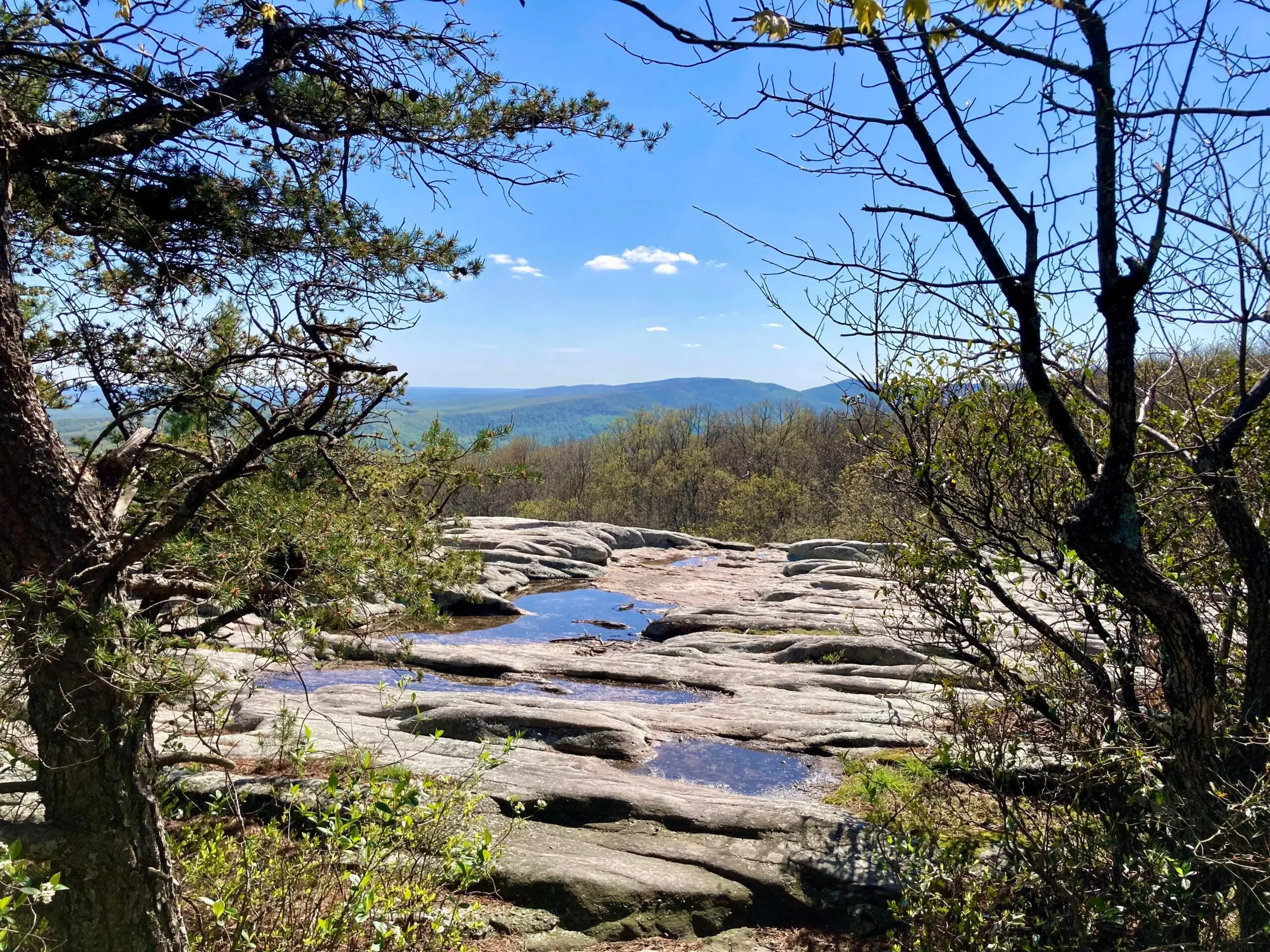 Black Mountain Crest Loop Hiking Trail