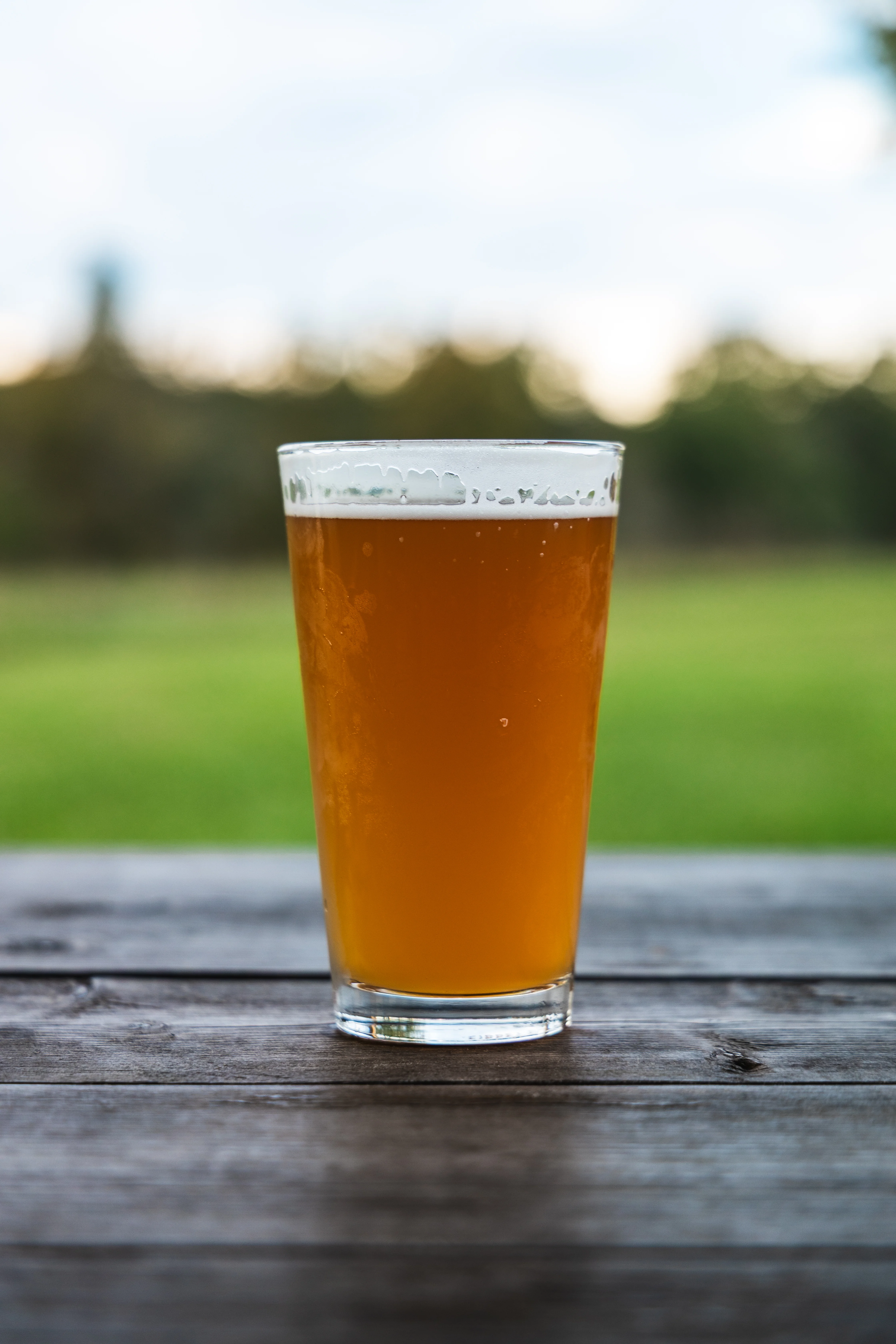 Social Brew