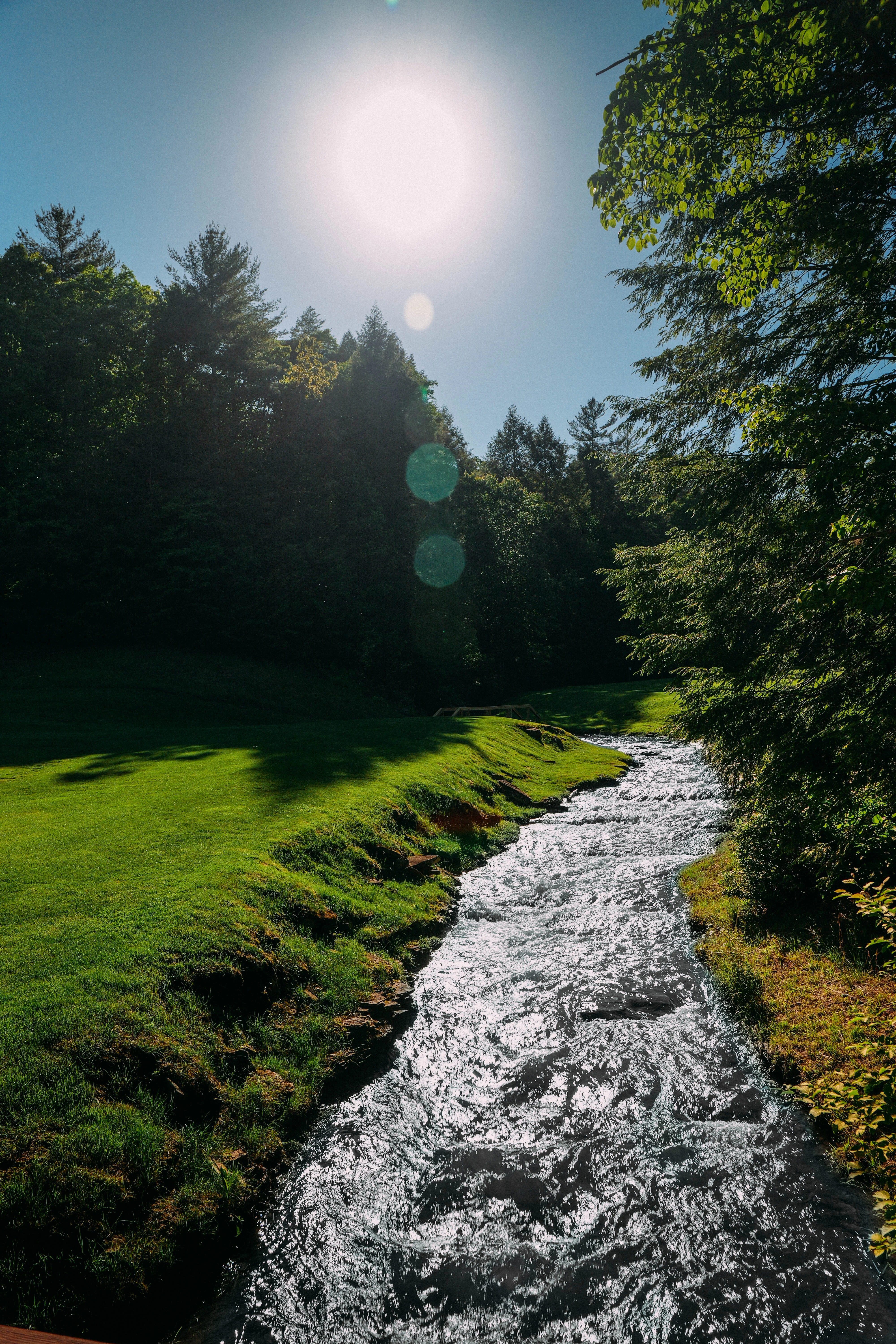 Ozone Falls Loop