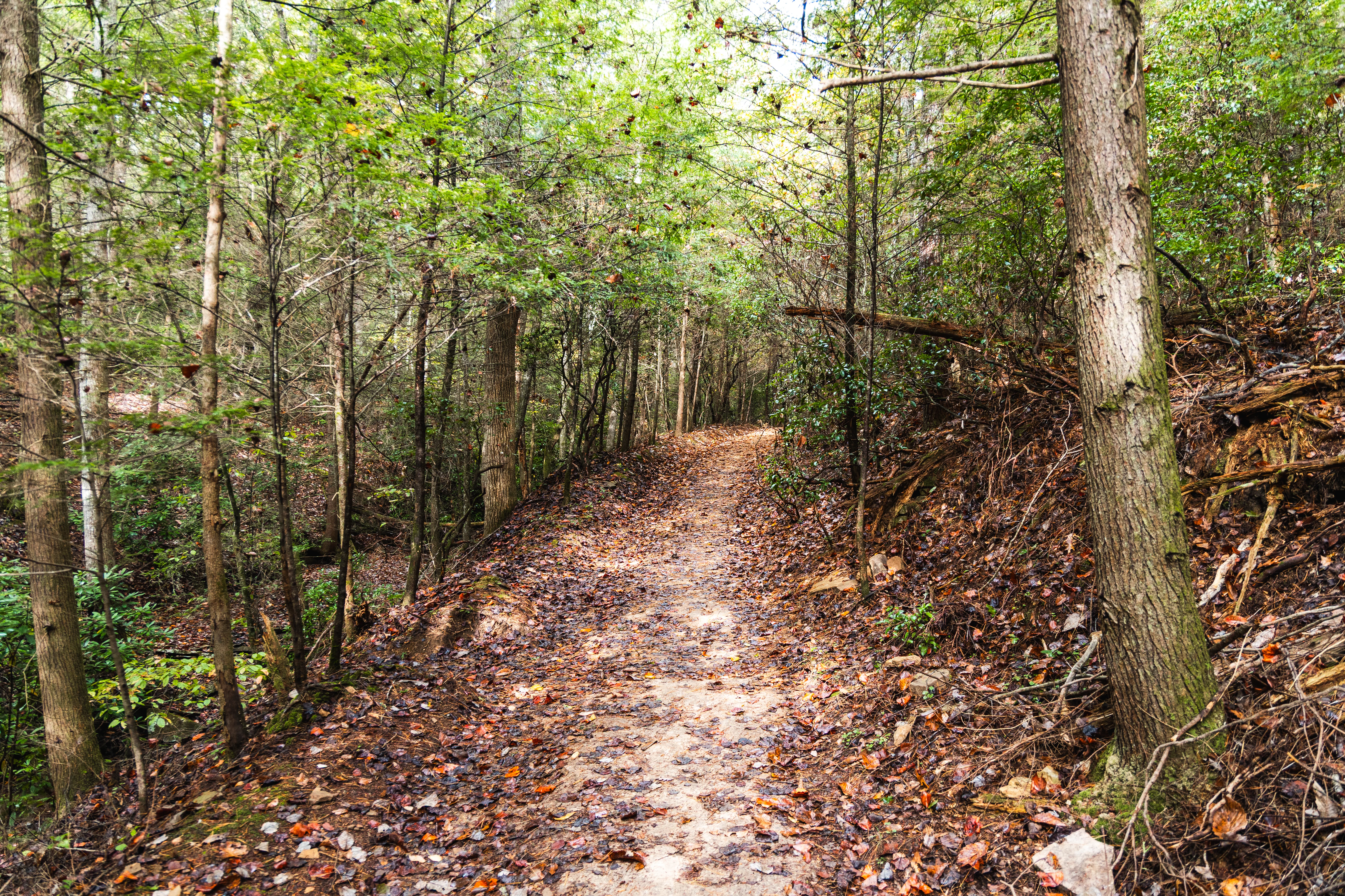 Central Spine Hiking Trail