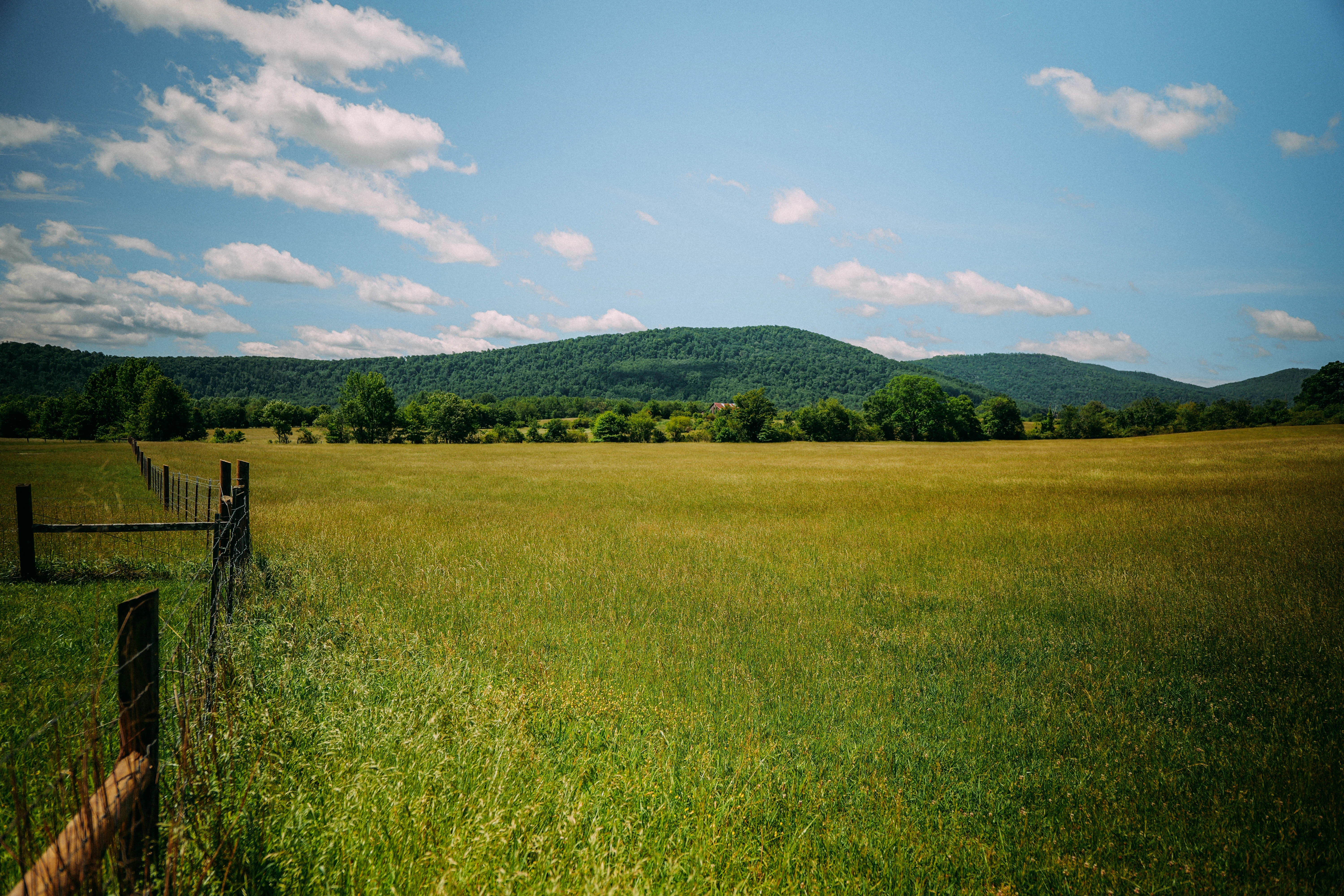Cumberland Trail — Grassy Cove