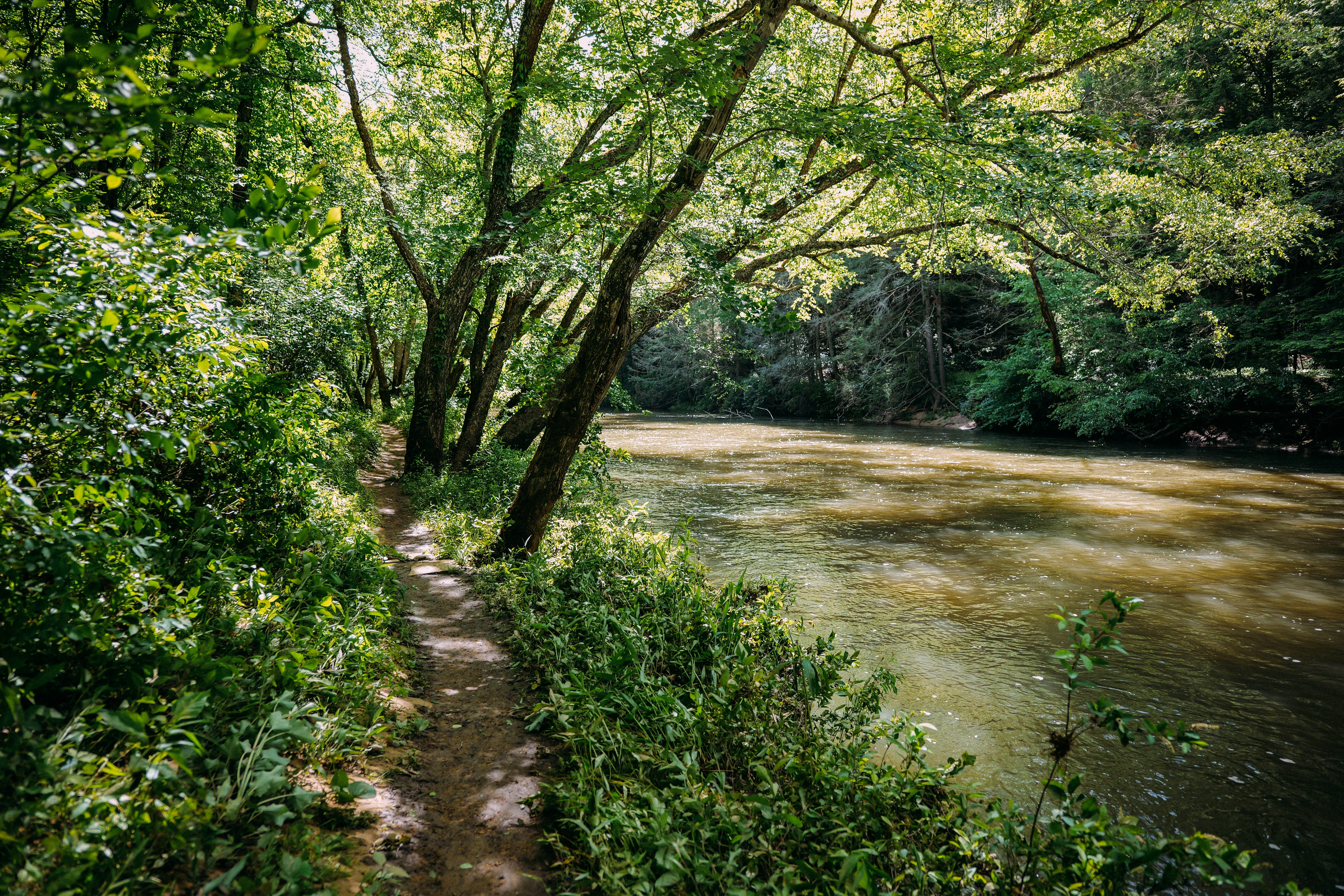 Obed River Park Hiking Trail