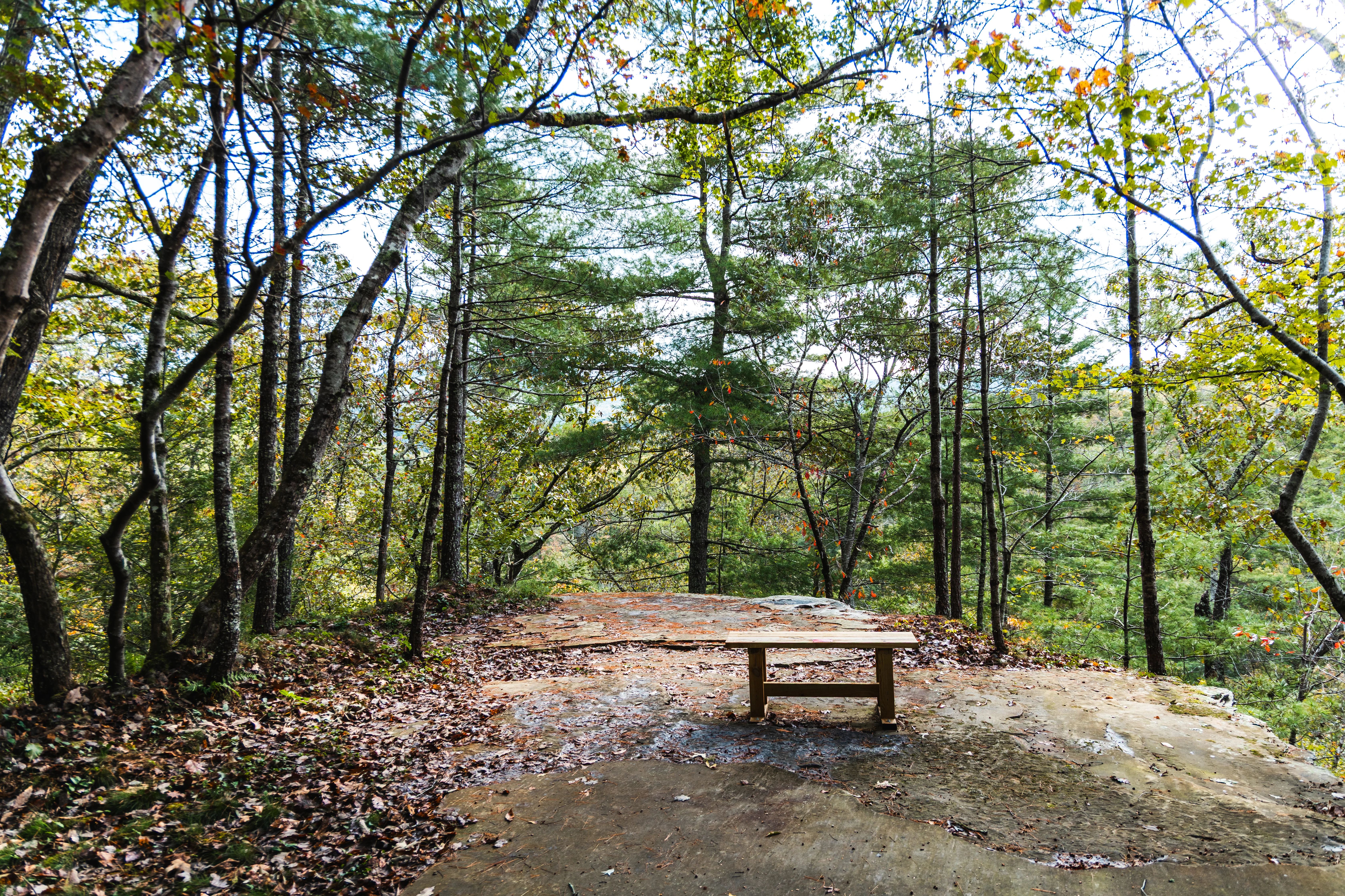 Fairfield Glade Hiking Trails — photo 2